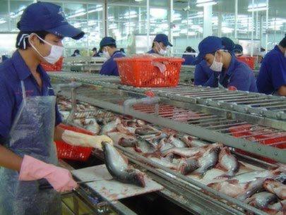 Cá tra, ba sa Việt Nam tiếp tục bị Mỹ áp thuế