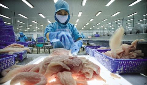 Xuất khẩu thủy sản vào Nga: Đủ sạch vẫn phải chờ