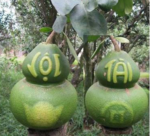 Quả độc cho bàn thờ của nhà giàu Việt