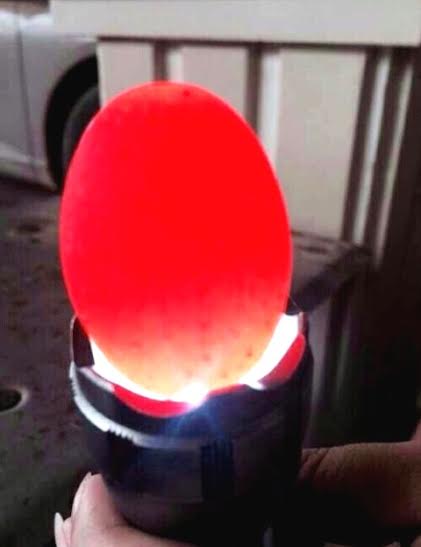 Ôm nợ vì đua nhau mua 'đá lạ' bán cho thương lái TQ