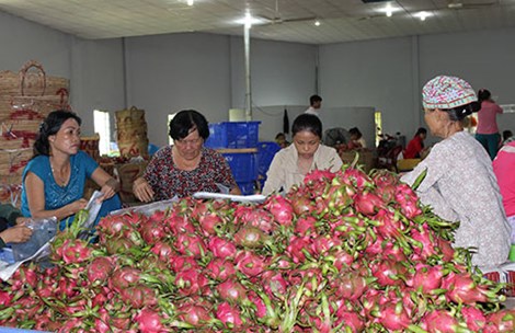 Nhập hàng EU coi chỉ dẫn địa lý