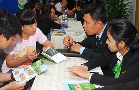 Ham rẻ đi vay, coi chừng khóc mếu