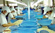 Nông sản xuất khẩu vẫn là hàng thô
