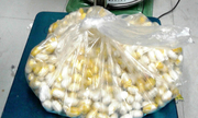 Heroin trị giá 10 tỷ giấu trong vỏ đậu phộng