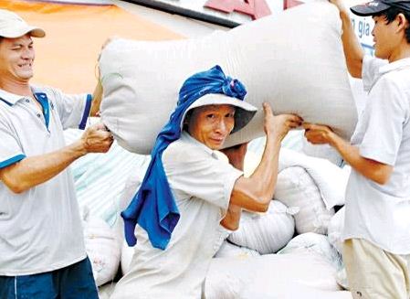 Gạo Việt lại nhận trái đắng: Mexico áp thuế cao