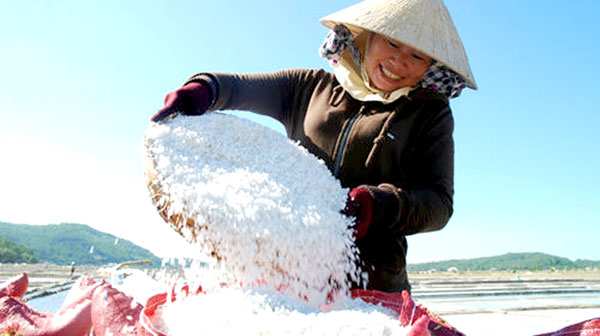 Muối Việt: Doanh nghiệp nội “chê”, Doanh nghiệp ngoại nhập