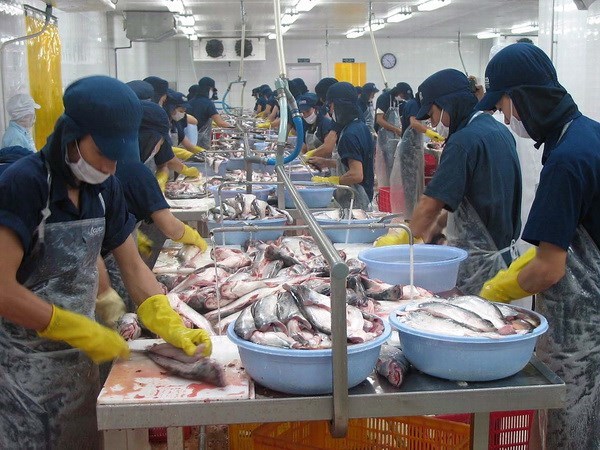 1.000 tỷ đồng cho vay ưu đãi ngành gạo và thủy hải sản