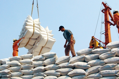Xuất khẩu gạo 2015: “Cánh cửa” thu hẹp