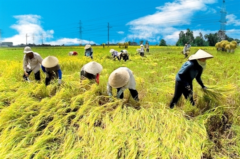 Nông nghiệp canh cánh việc nhập khẩu hết trừ... đất, nông dân