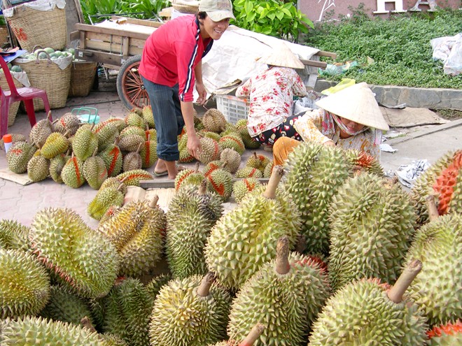 Hứng phân dơi thu tiền tỷ