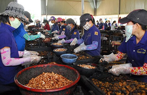 Cơ hội vàng đưa hàng Việt xuất ngoại