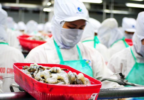 Nhiều đại gia thủy sản bội thu trong năm 2014