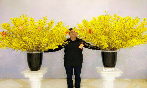 Mai Mỹ chưng Tết tiền triệu 'cháy' hàng