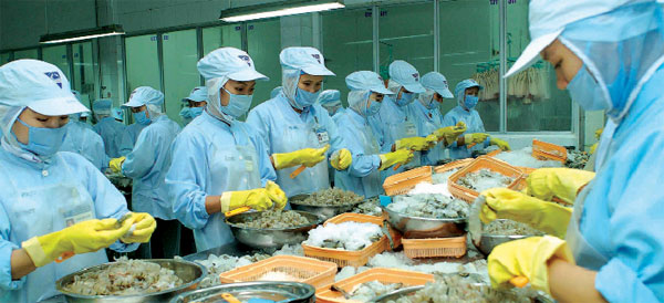 Mừng cho con tôm Việt!