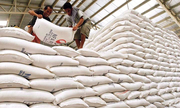 Xuất khẩu hơn một triệu tấn gạo