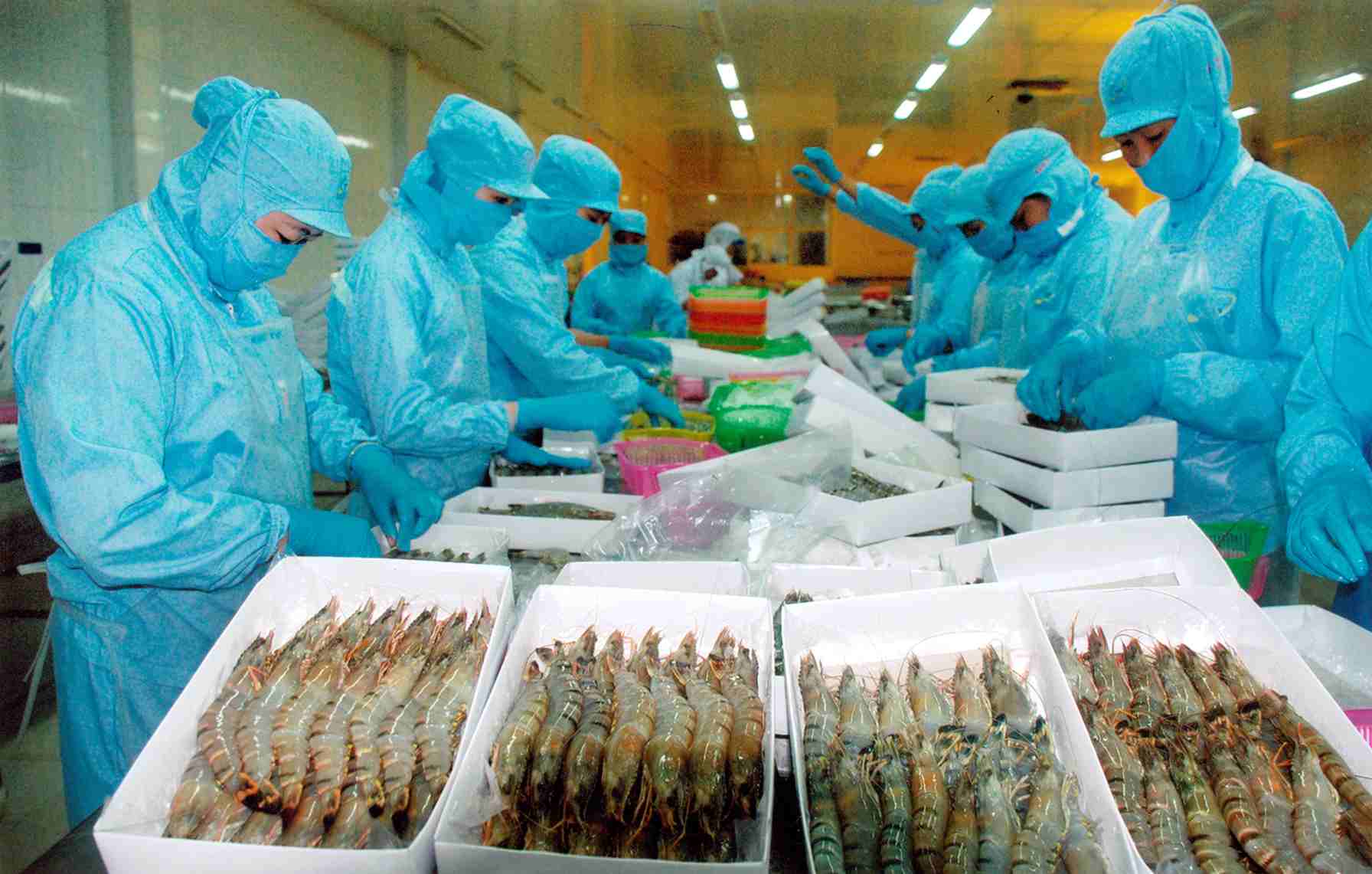 Mỹ giảm hơn 5% thuế chống phá giá tôm nhập khẩu của Việt Nam
