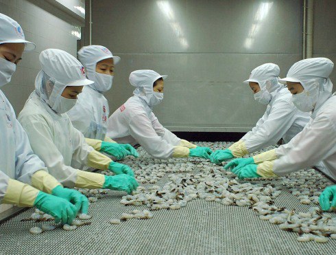 Sóng ngầm trong ngành thủy sản