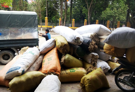 Thương lái Trung Quốc gom mua rêu đá với giá cao