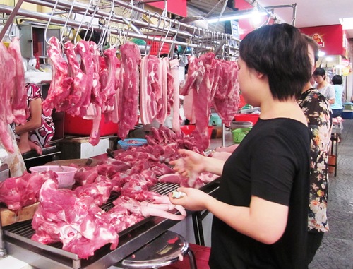 Ngành chăn nuôi heo gặp khó vì chất cấm