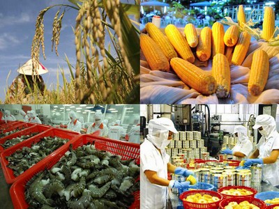 Ngành hàng nông sản: Hệ lụy chính sách “rải mành mành”