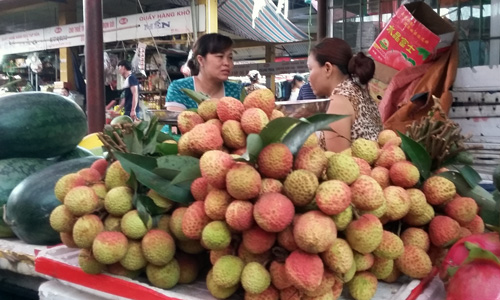 Bộ trưởng Công Thương: Tiêu thụ vải năm nay sẽ tích cực