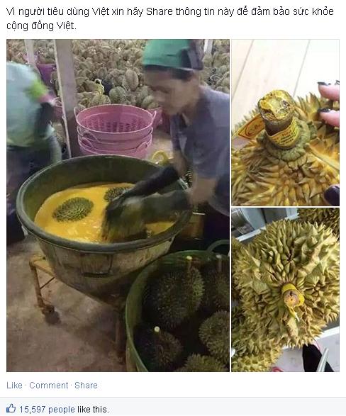 Thực hư sầu riêng Thái Lan tẩm chất nhuộm vàng