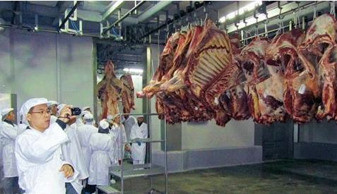 Người Việt sắp được ăn xuất khẩu thịt bò, gia cầm Nga