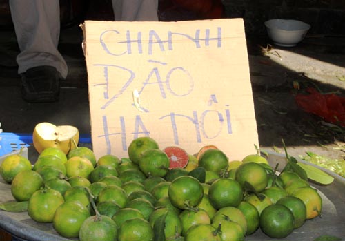 Tiểu thương Sài Gòn buôn chanh đào kiếm tiền triệu mỗi ngày