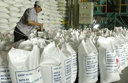 Xuất khẩu gạo sang TQ như 