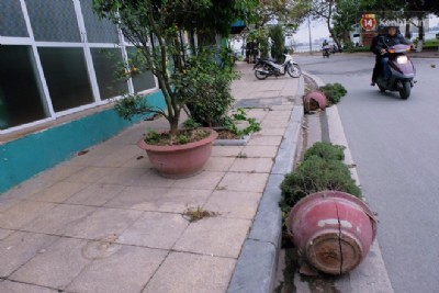 Chậu cây rơi làm hỏng ôtô, chủ nhà có phải bồi thường?