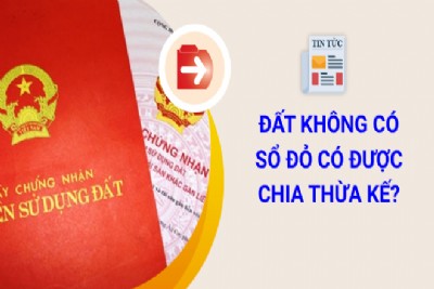 Đất đang tranh chấp chưa có sổ đỏ có được chia thừa kế ?