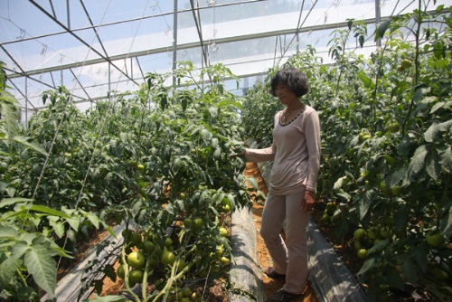 Doanh nghiệp hỗ trợ nông dân chuyển đổi mô hình sản xuất