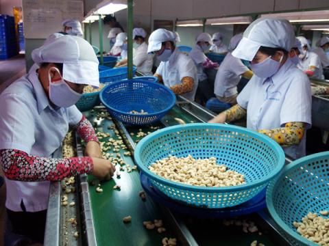 Tránh phụ thuộc Trung Quốc, Việt Nam chọn châu Phi
