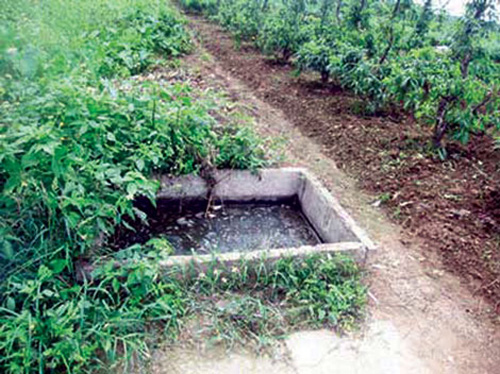 Độc chiêu ẩn mình của kẻ trốn tù