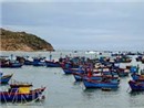 Mang 'áo giáp'cho tàu vươn khơi an toàn