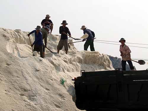 Chật vật vì muối rớt giá