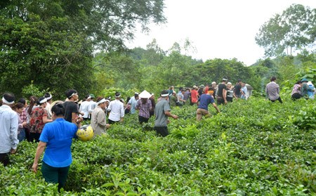 Nghĩa trang không có đường vào