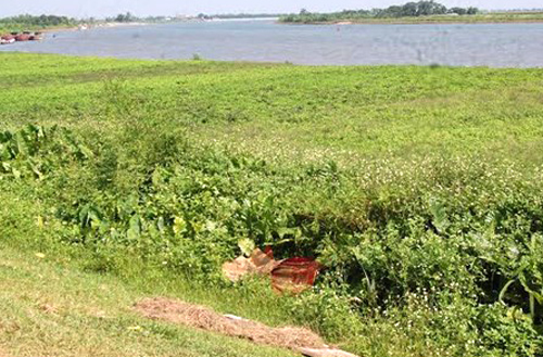 Chủ ao cá phi tang xác hai cha con