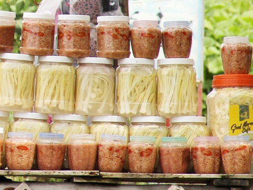 Nông dân miền Tây khấm khá nhờ đặc sản dưa bồn bồn